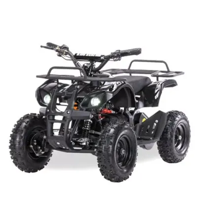 Квадроцикл электрический Motax Grizlik X-16 800W