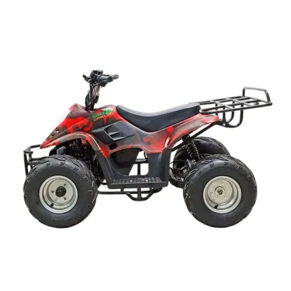 Купить Квадроцикл GreenCamel Гоби K70(36V 800W R7) Квадроцикл GreenCamel Гоби K70 (36V 800W R7)