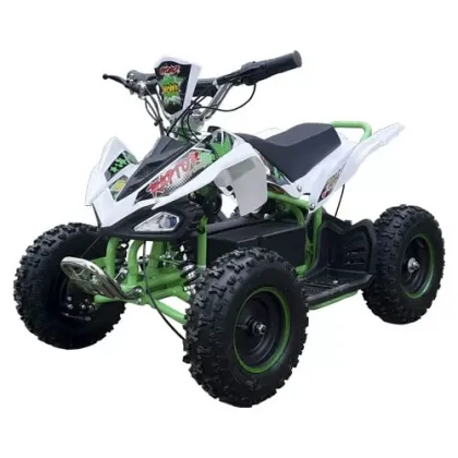 Квадроцикл электрический MMG ECO Python 800W