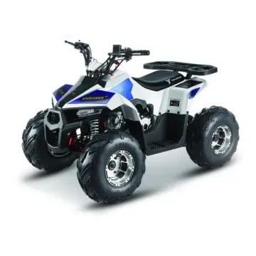 Товар дня по супер ценеКвадроцикл MMG ATV MudHawk 110cc  (2022)