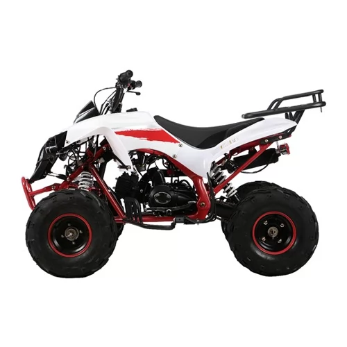 Квадроцикл WARRIOR RG7 125см + коробка автомат