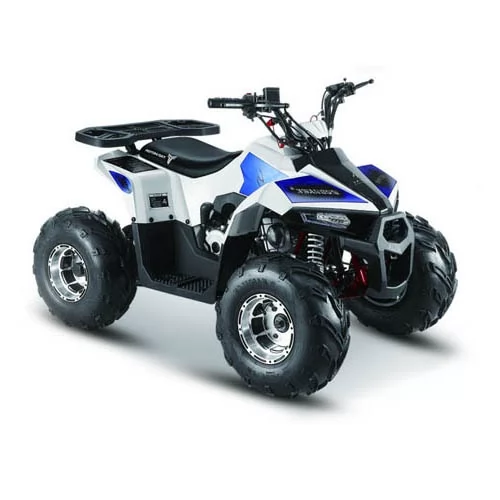 Квадроцикл MMG ATV MudHawk 110cc  (2022)