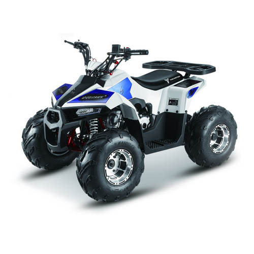 Квадроцикл MMG ATV MudHawk 110cc  (2022)
