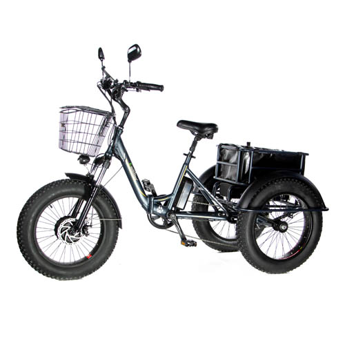 Купить электровелосипед трицикл E-Motions PANDA 750W