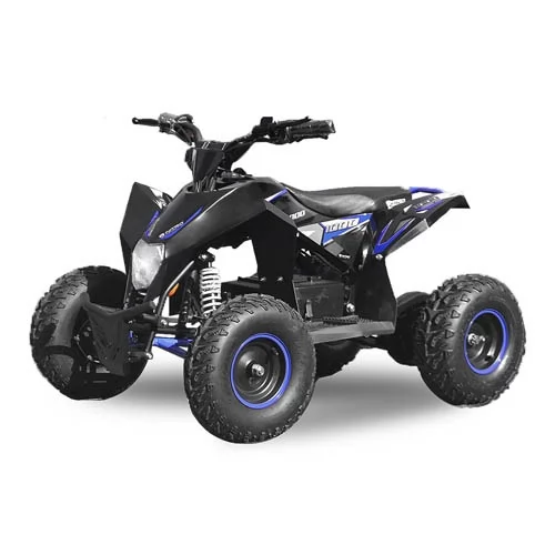 Купить квадроцикл Nitro Motors 1000W 36V Eco Madox XXL