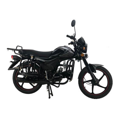 Мотоцикл Regulmoto Alpha 110 LUX