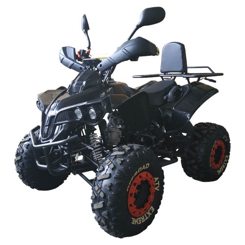 Купить квадроцикл XTR 008 8 Pro Plus 125cc