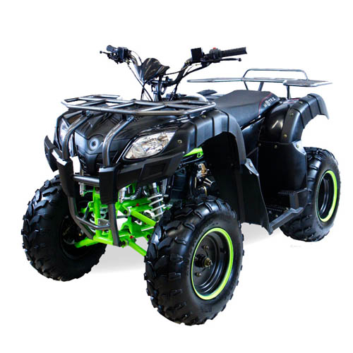 Купить квадроцикл Motax Grizlik 200cc