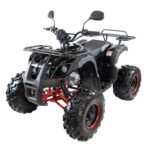 Купить квадроцикл Motax Grizlik 8 125cc