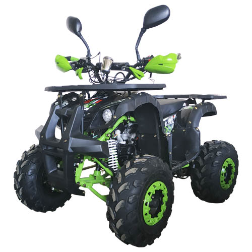 Купить квадроцикл Apollo Grizzly 110cc 8 RG