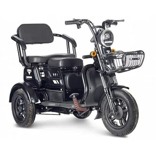 Купить трицикл Rutrike Бумеранг 650W 48V  двухместный без АКБ