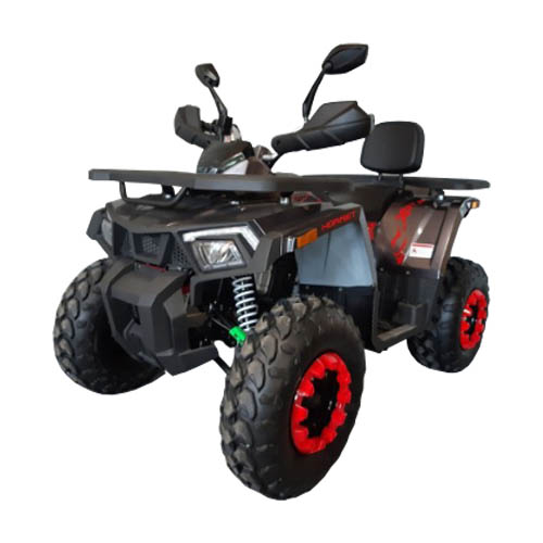 Купить квадроцикл MMG TAOTAO Hornet 200cc