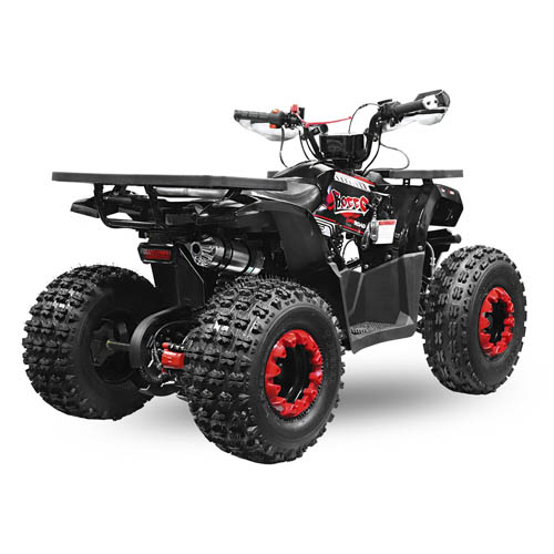 Квадроцикл Nitro Motors Rocco RS8-A V2 midi Quad 150cc 8 Zoll Automatik + RG Kinderquad Atv Platin Line