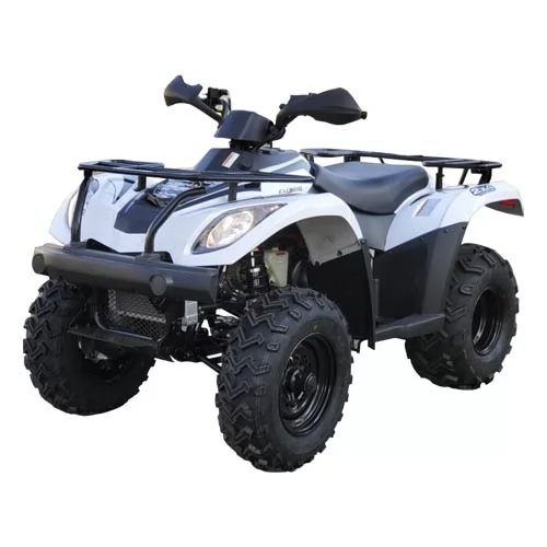 Купить квадроцикл Linhai LH300b 2х4