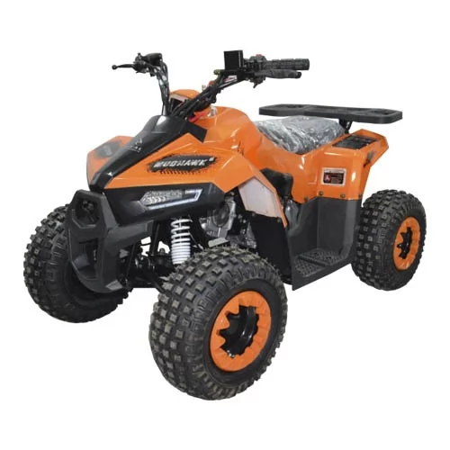 Купить квадроцикл MMG B5 Mudhawk 110cc