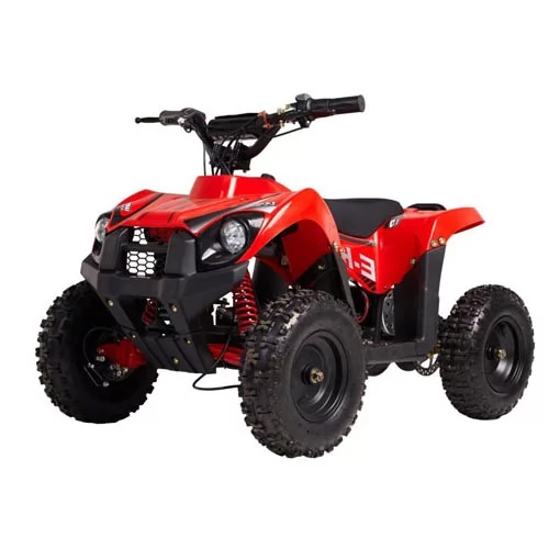 Купить квадроцикл WELS E.King 1000W