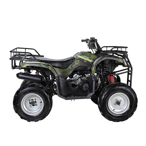 Квадроцикл WELS ATV Purga 170