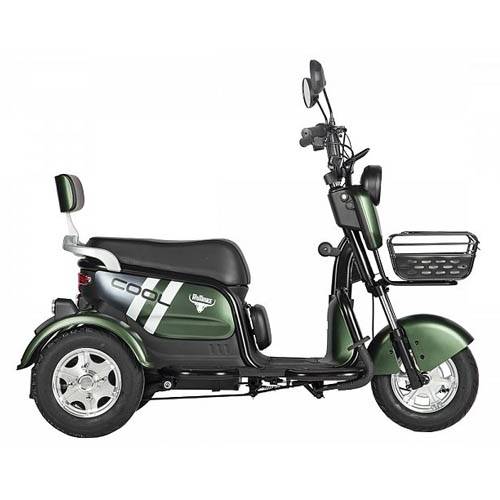 Трицикл Rutrike Шкипер 650W 48V без АКБ