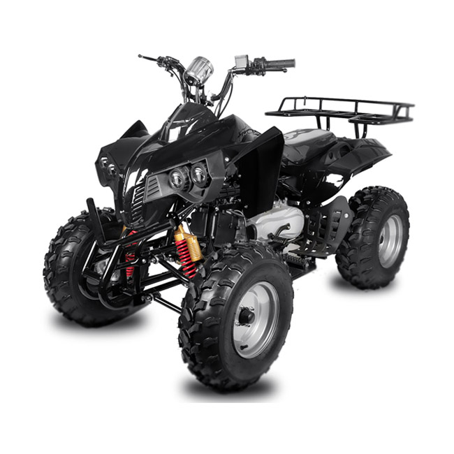 Квадроцикл MMG Warrior Quad 150cc ATV 10