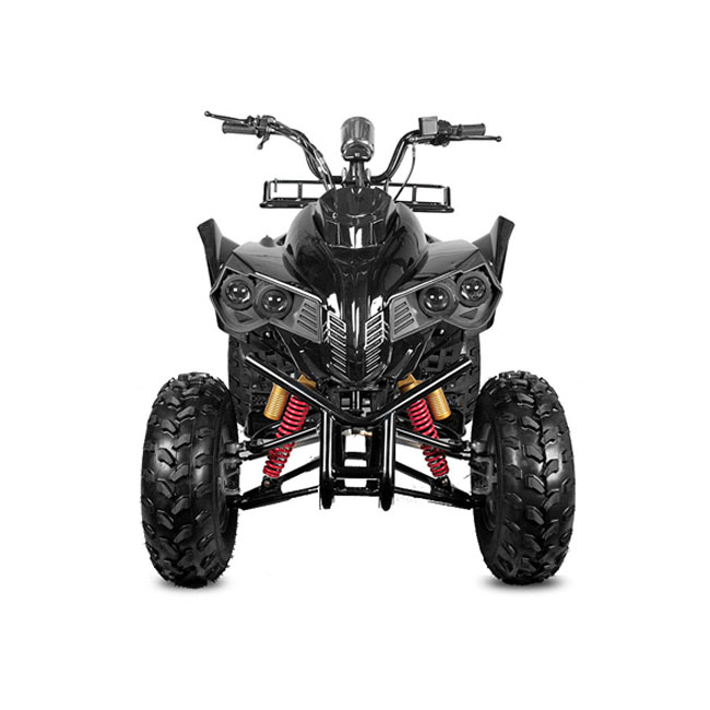 Квадроцикл MMG Warrior Quad 150cc ATV 10