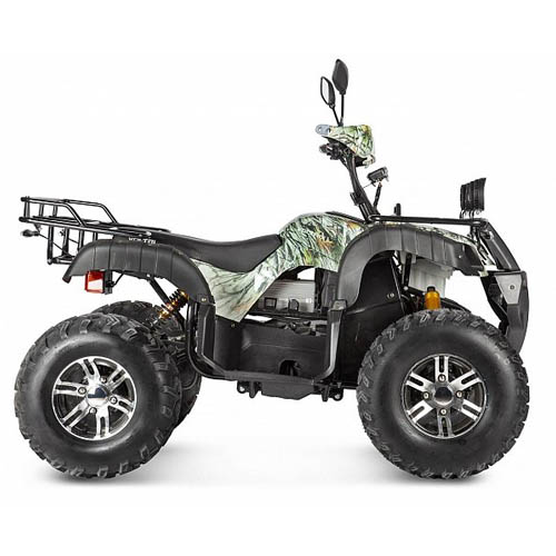 Электрический квадроцикл Voltrix Raider Dual Motor 60V4000W