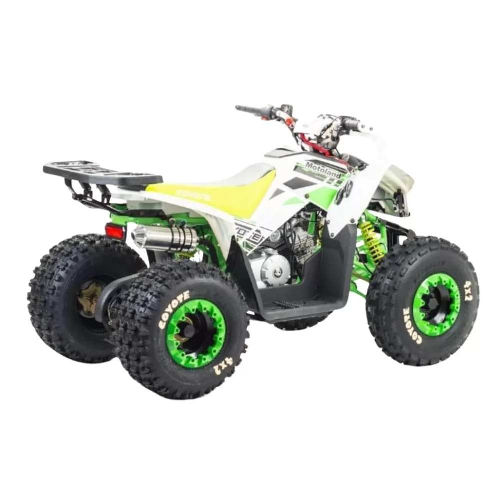 Комплект запчастей MotoLand Coyote 125cc
