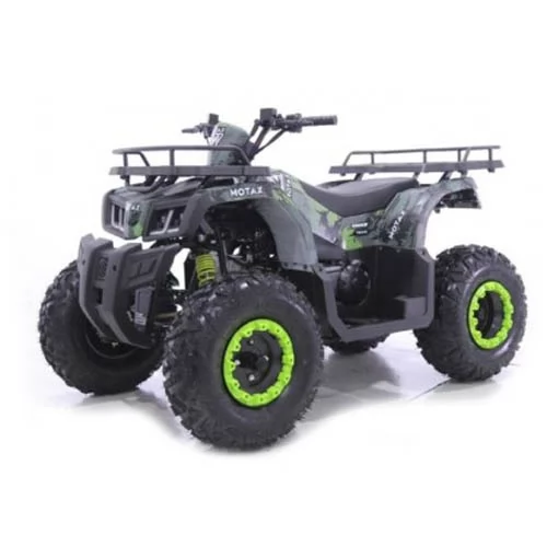 Купить квадроцикл ATV Motax Grizlik T 200 LUX 