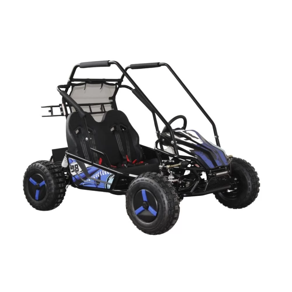 Купить багги GreenCamel Намиб T10 (60V 2000W R8 Дифф)