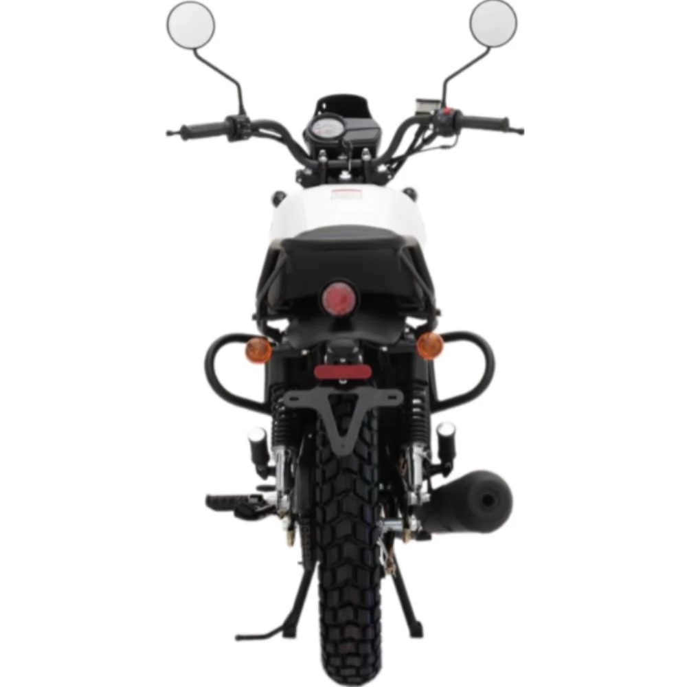 Купить мотоцикл Regulmoto Monster 200 Мотоцикл Regulmoto Monster 200