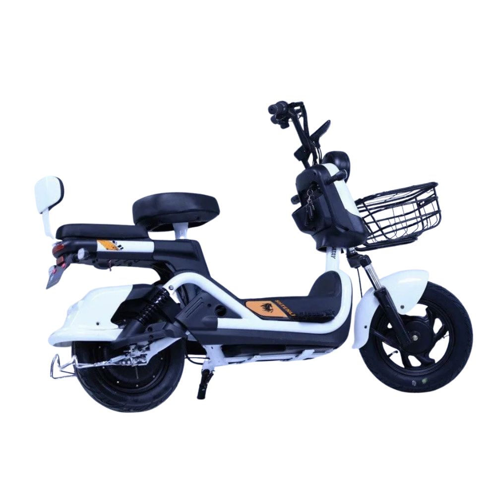 Купить электроскутер Shtenli Model 21 Performance Pro (аккумулятор 5шт 20Ач12В)