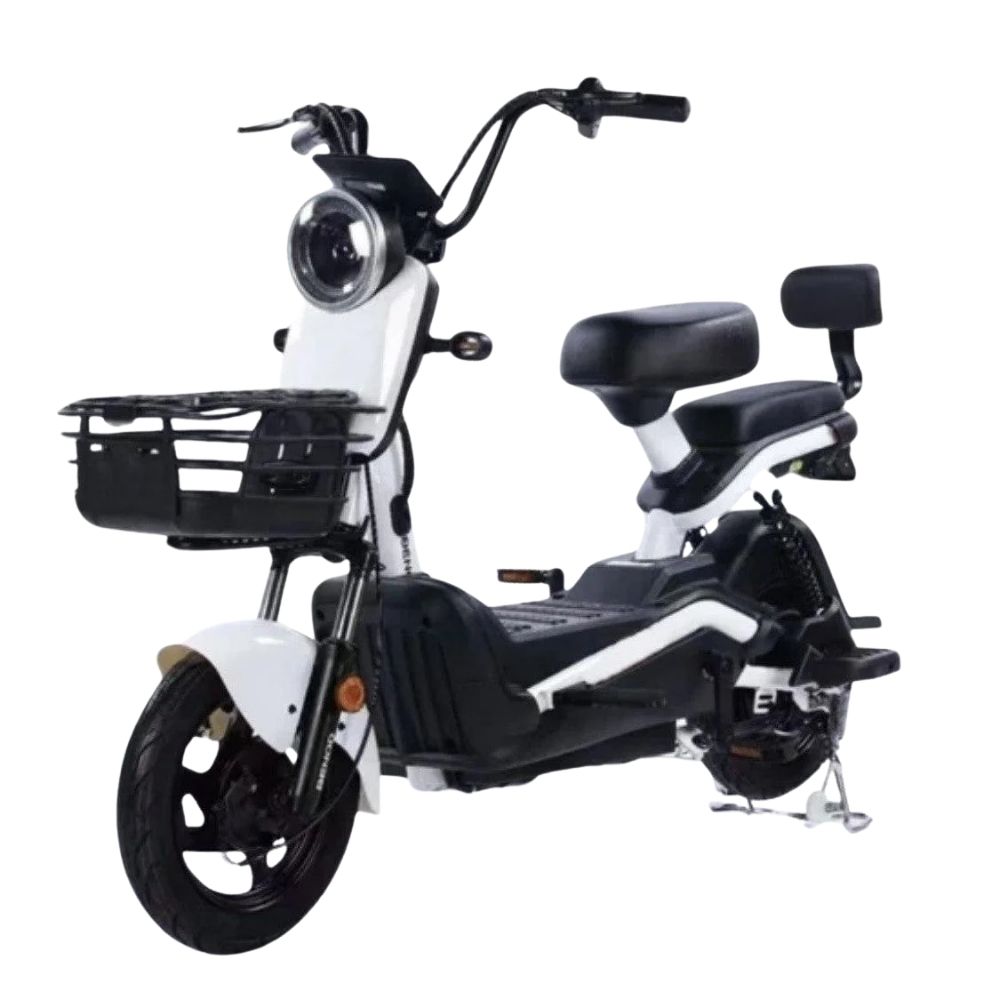 Купить электроскутер Shtenli Model 21 Performance (аккумулятор 4шт 20Ач12В)
