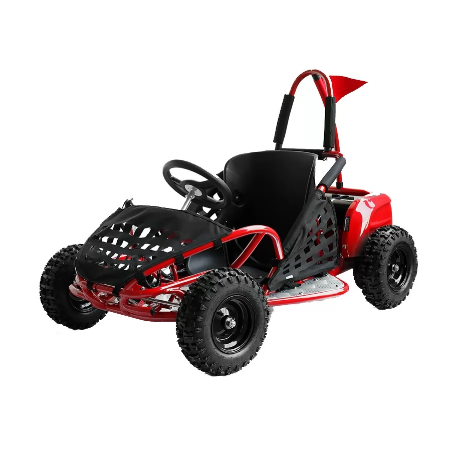 Электро багги 1000W Eco Buggy GoKid