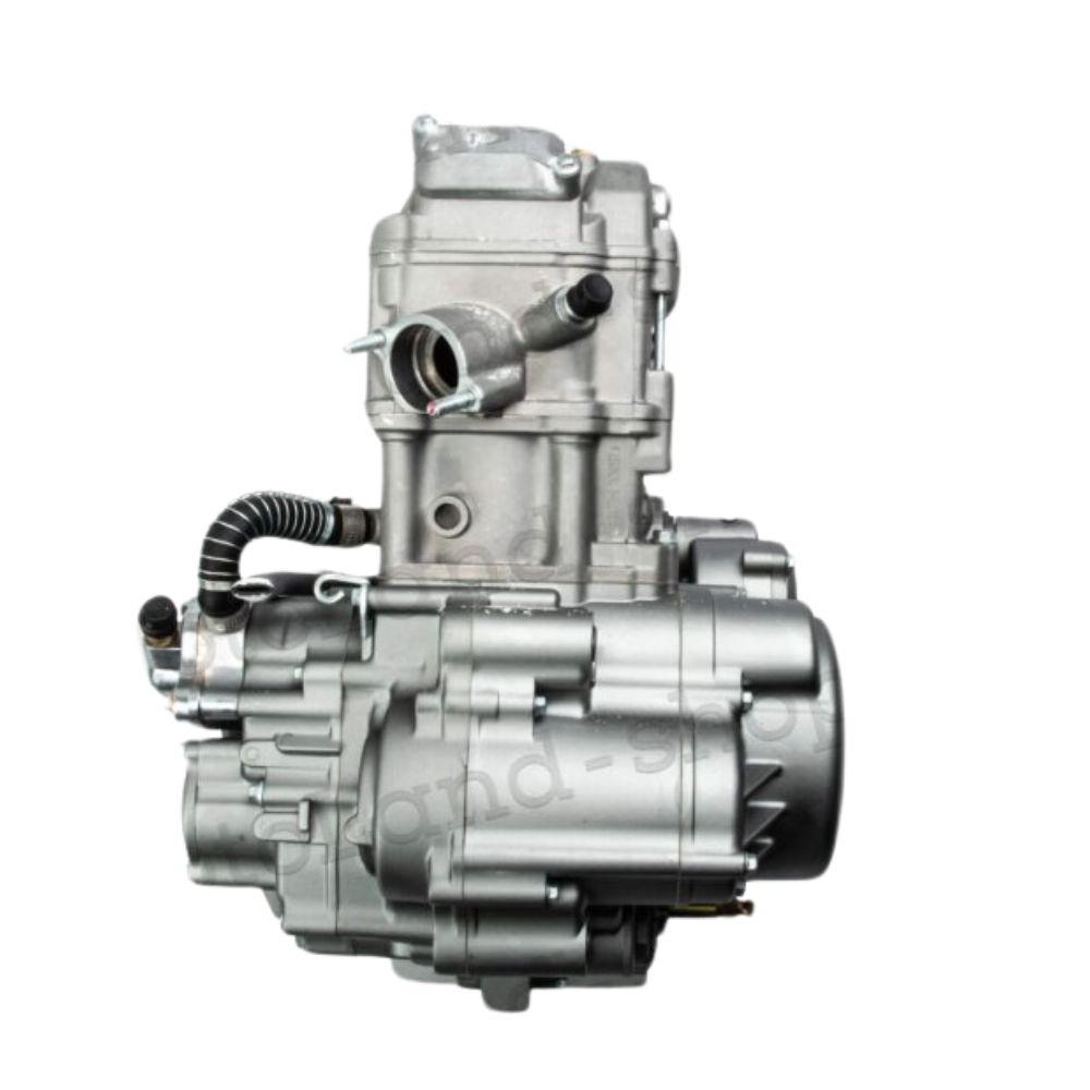Двигатель 300см3 174MN-3 (CBS300 с балансиром) ZS