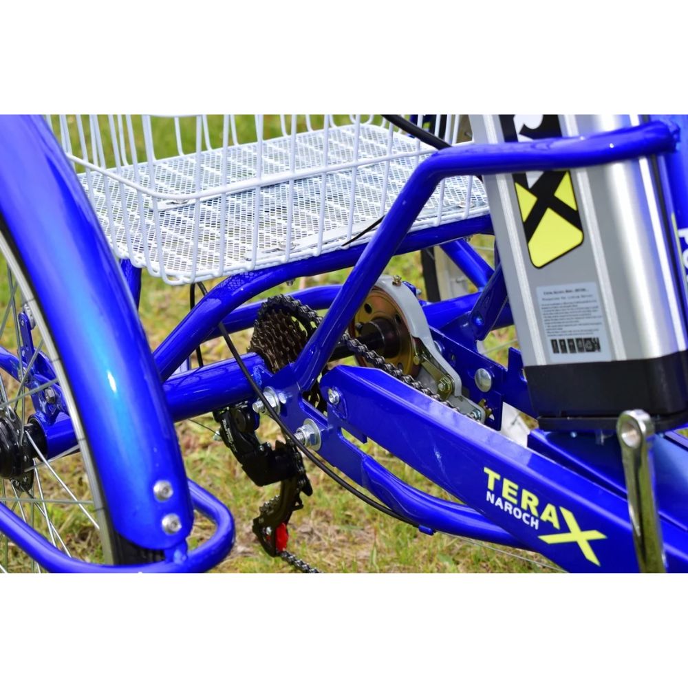 Электровелосипед трехколесный Terax NAROCH XD02