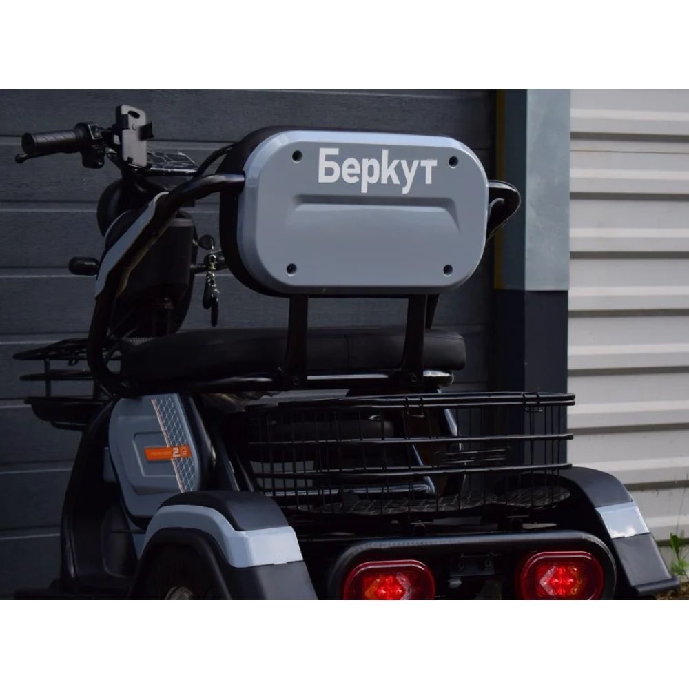 Купить электротрицикл Беркут Электротрицикл Беркут