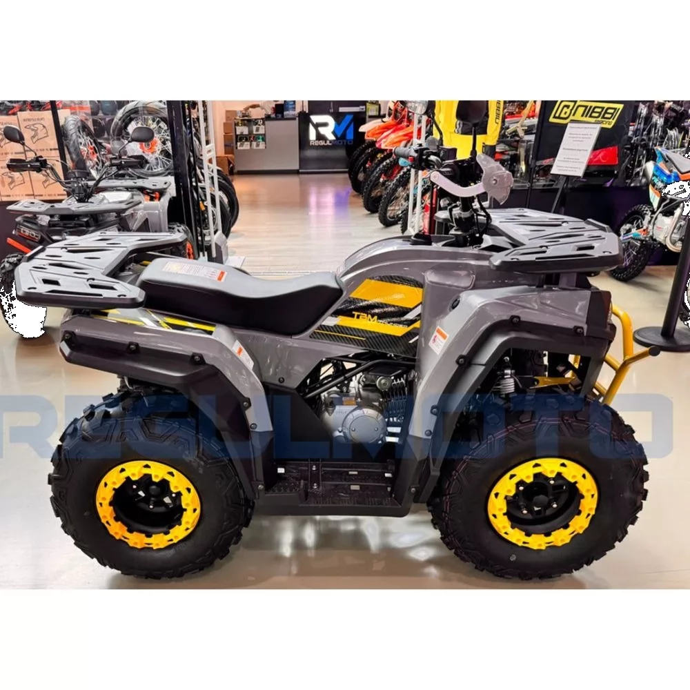 Квадроцикл Regulmoto TBM Thunder 150