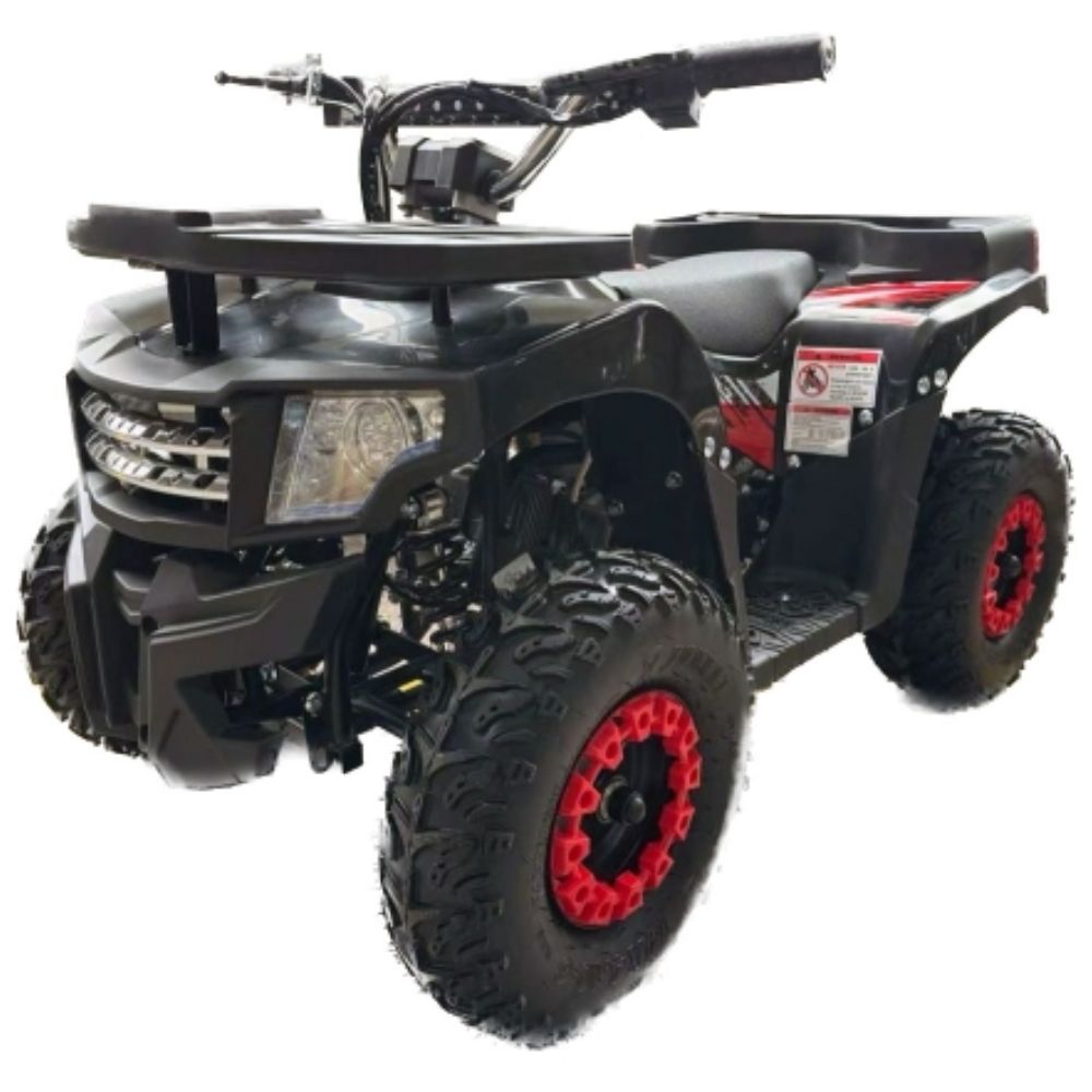 Электрический квадроцикл IKINGI K6 1000W