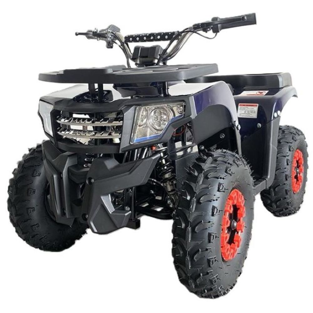 Электрический квадроцикл IKINGI K8 2000W