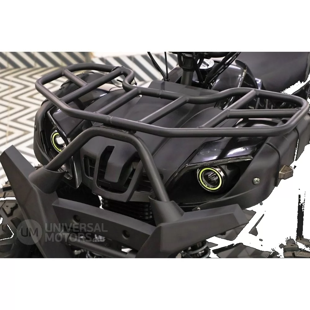 Квадроцикл UMX Hammer H200