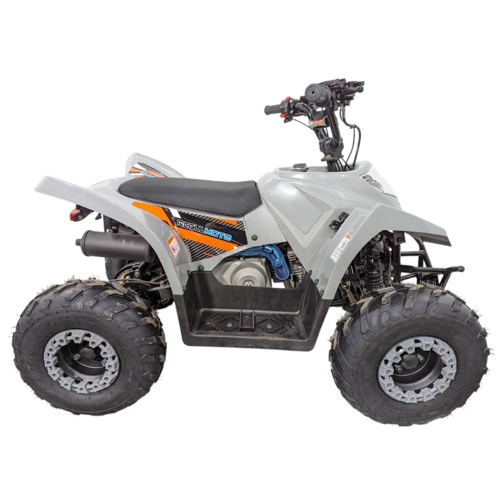 Купить квадроцикл Regulmoto SK11 110сс Квадроцикл Regulmoto SK11 110сс