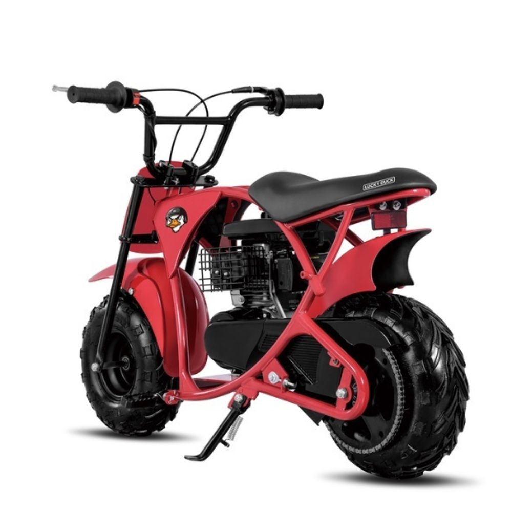 Купить минибайк Lucky Duck Ranger RB100 Минибайк Ranger Lucky Duck RB100