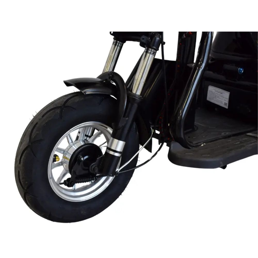 Электротрицикл Terax BIGGI