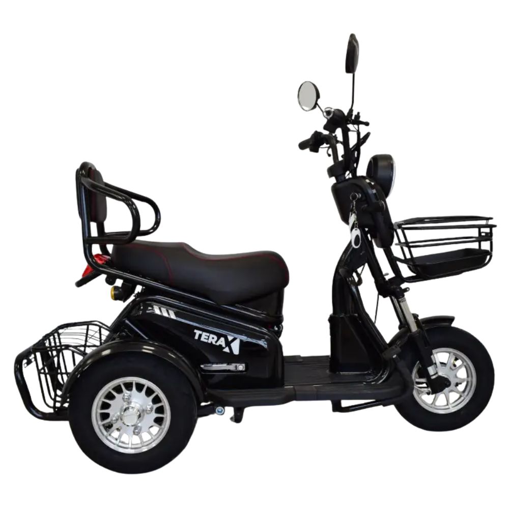 Электротрицикл Terax BIGGI