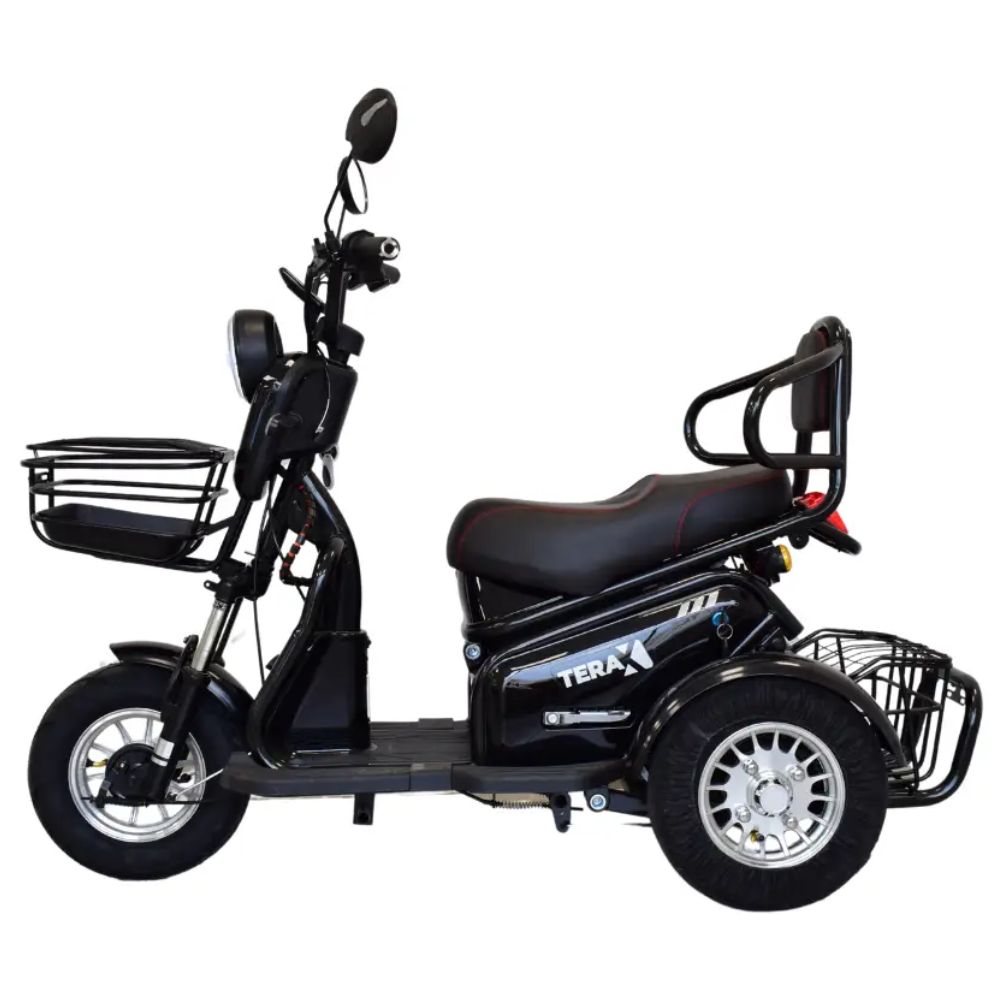 Электротрицикл Terax BIGGI