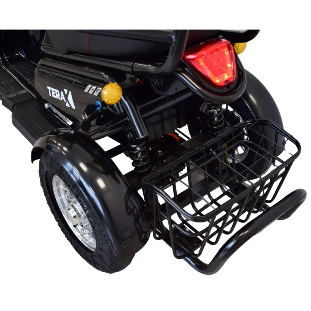 Электротрицикл Terax BIGGI