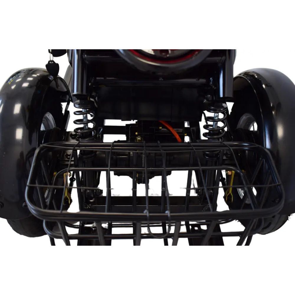 Электротрицикл Terax BIGGI