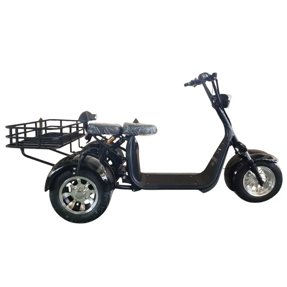 Электротрицикл Shtenli Model 108