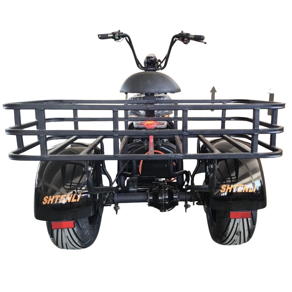 Купить электротрицикл Shtenli Model 108 Электротрицикл Shtenli Model 108