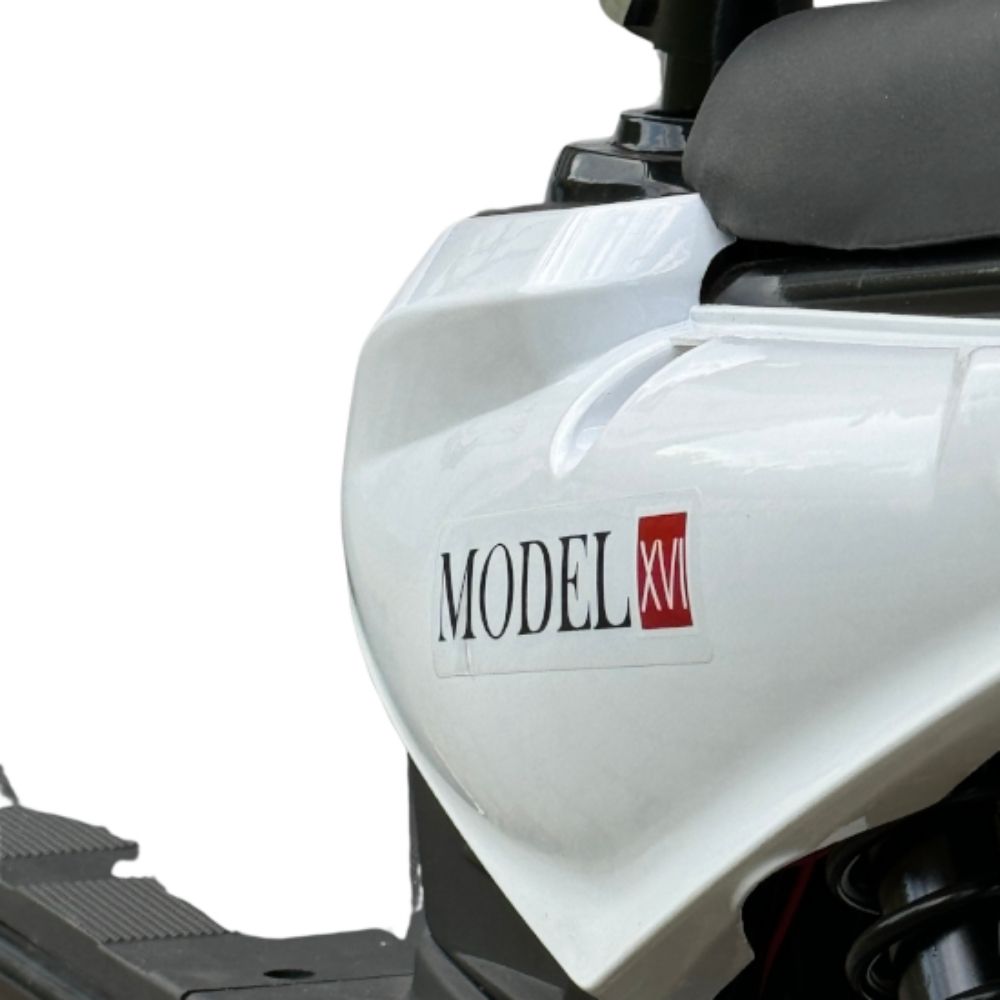 Купить электроскутер Shtenli Model 16 Maxi Range Электроскутер Shtenli Model 16 Maxi Range