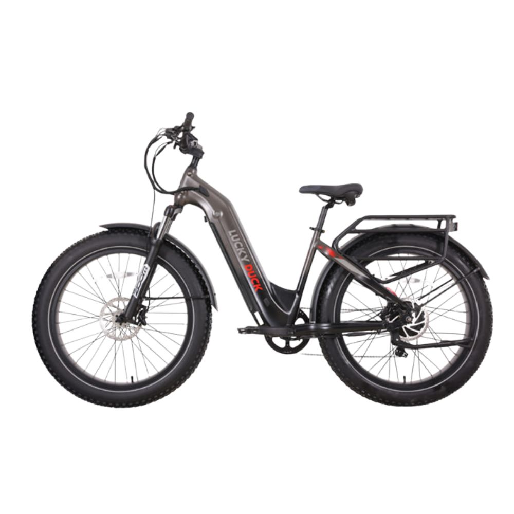 Электровелосипед внедорожный Lucky Duck EFB200 